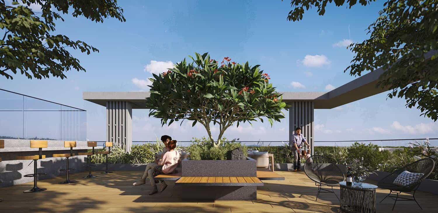 Rooftop Garden
