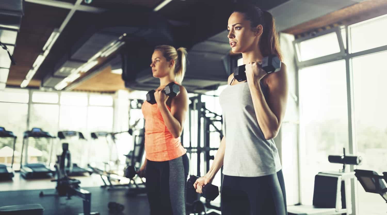 Gyms & Yoga Studio