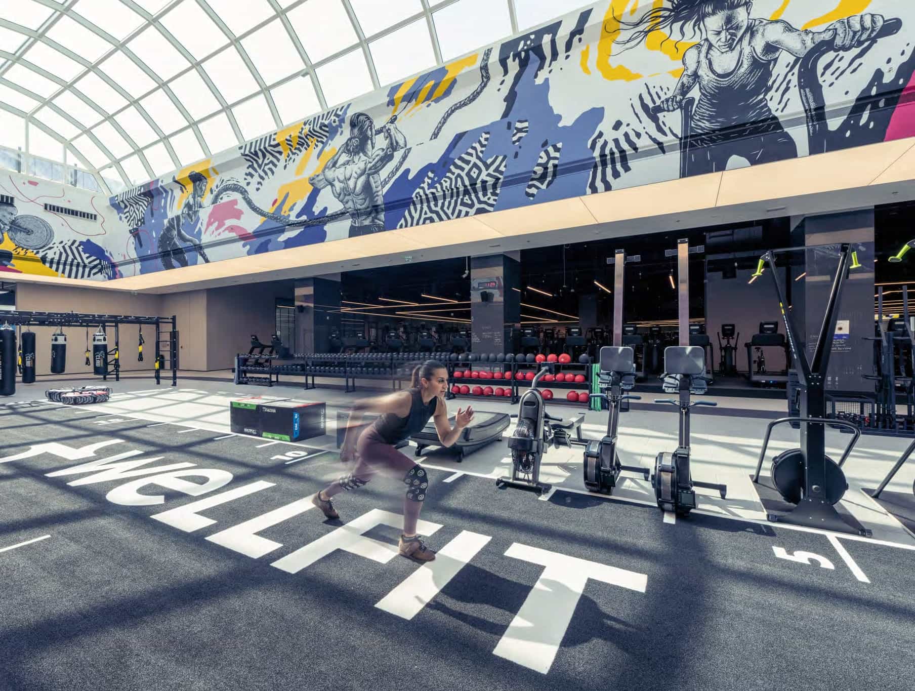 Wellfit Gym
