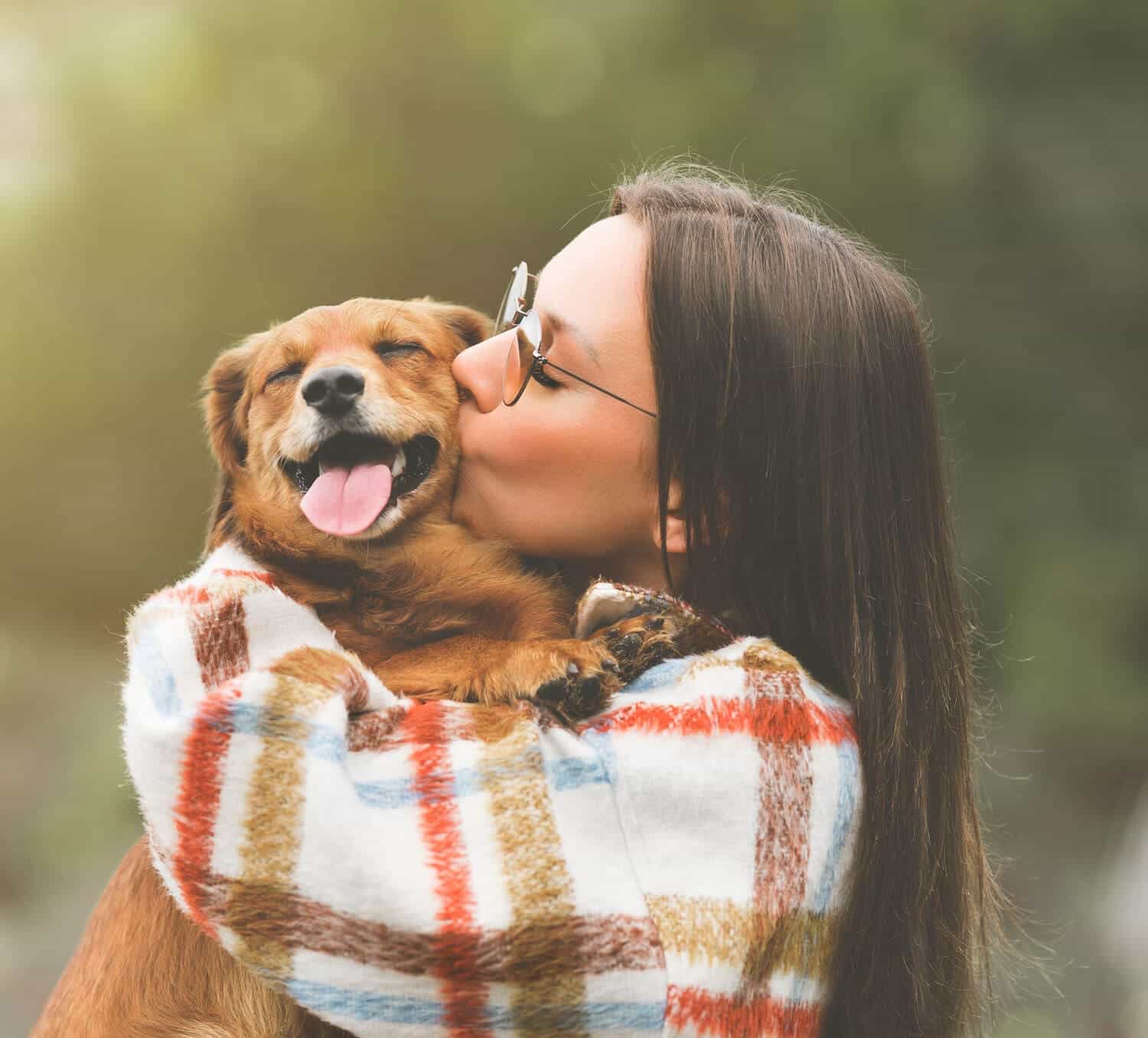 Pet Areas