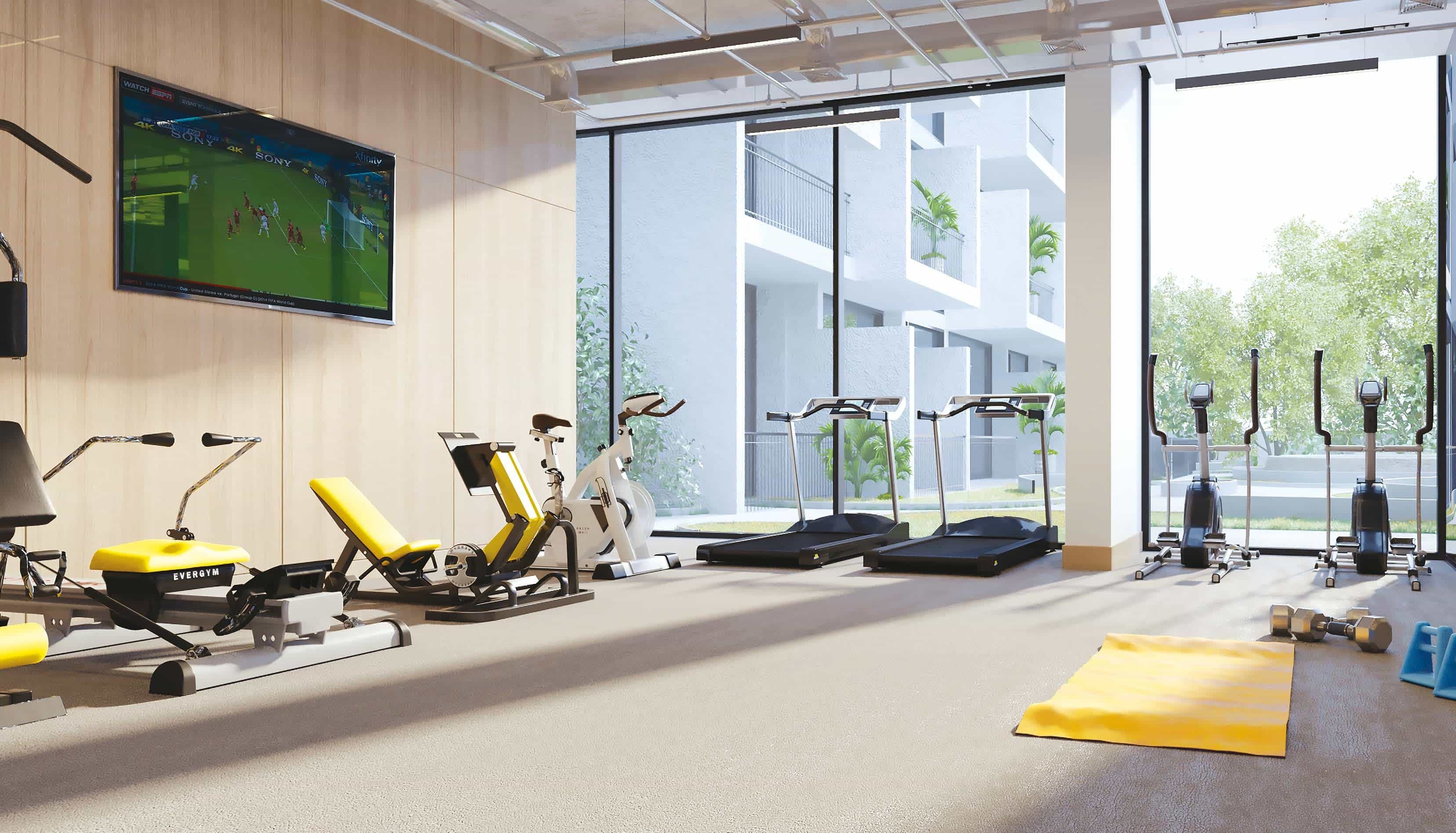 Gym
