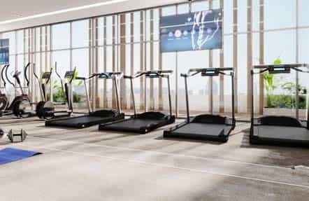 Gymnasium
