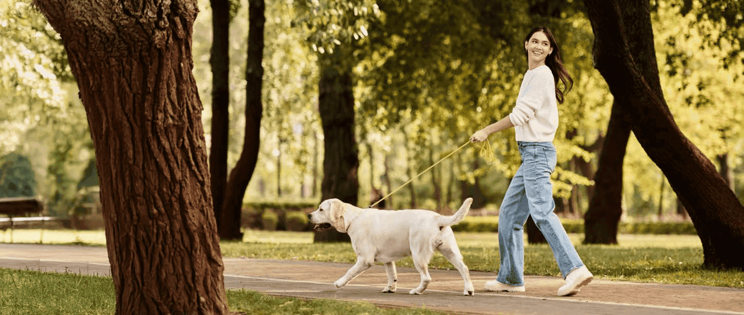 Pet-Friendly Spaces