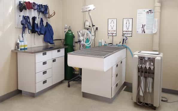 Treatment Area