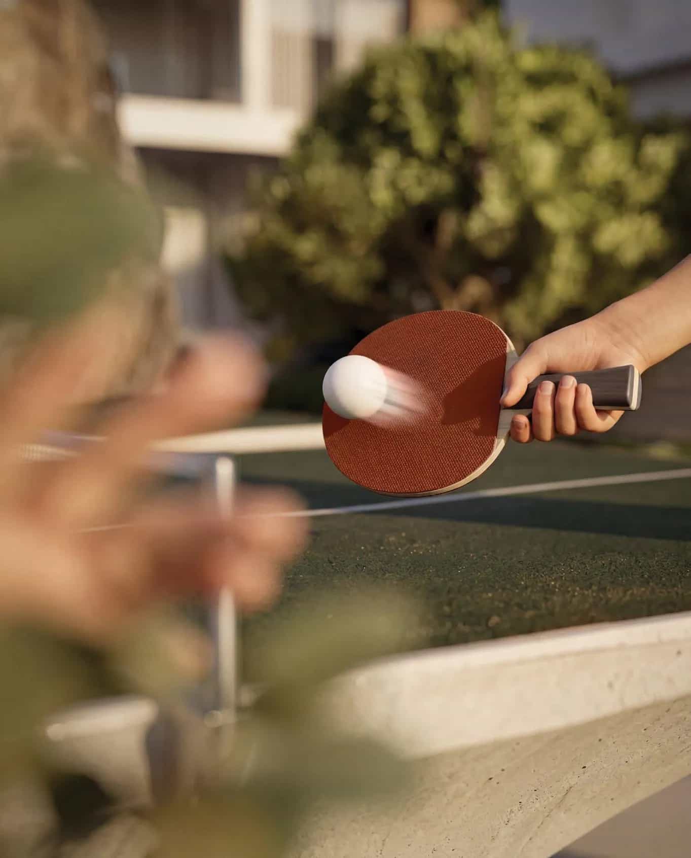 Ping Pong Table