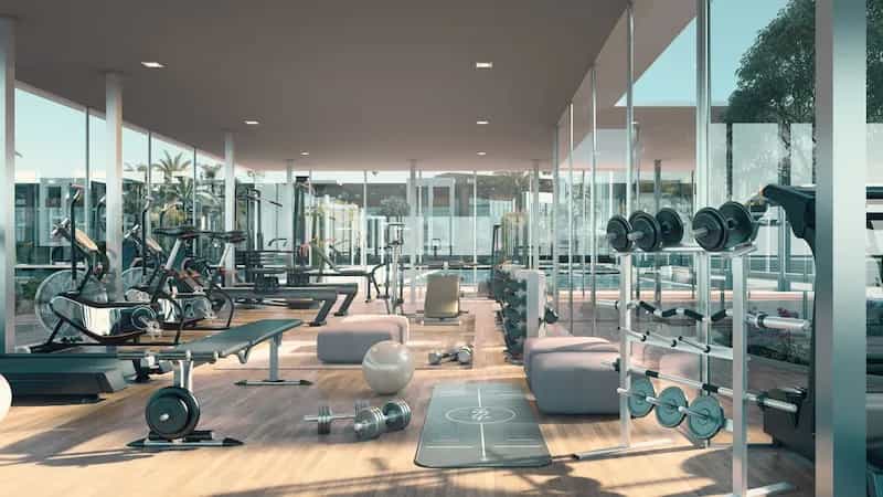 Gymnasium