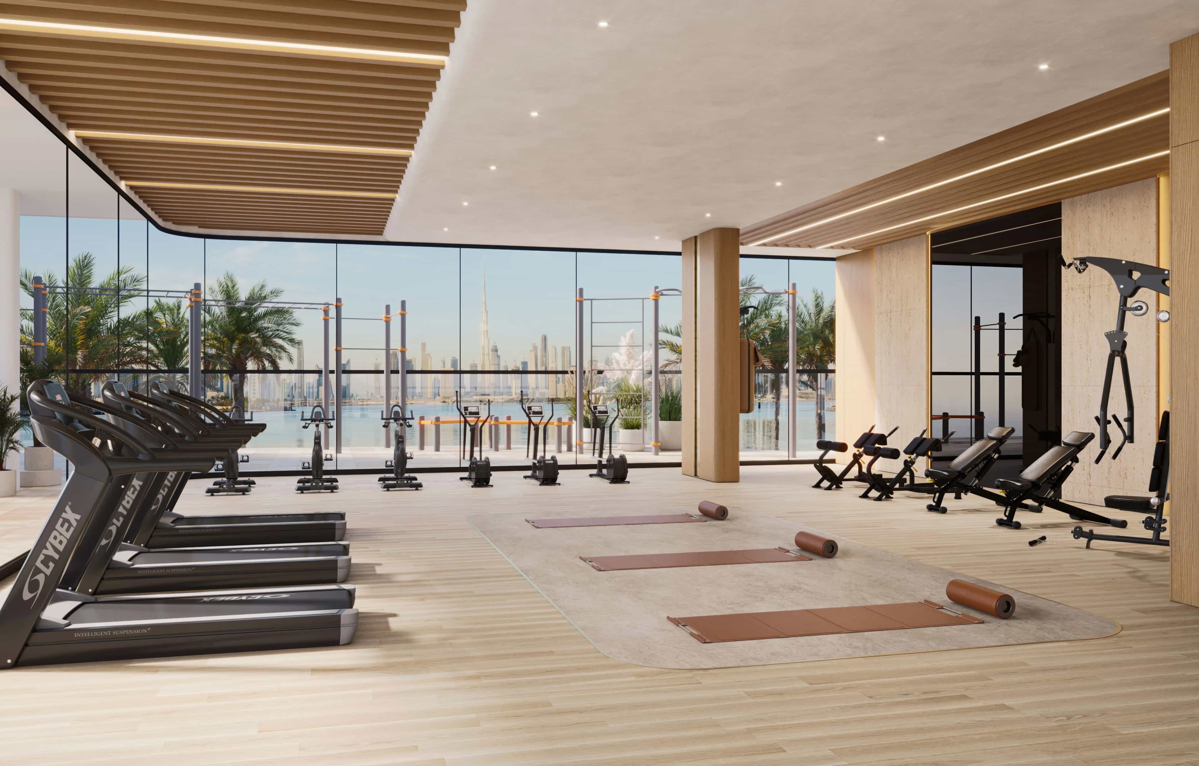 Indoor Gym & Outdoor Calisthenics Gym